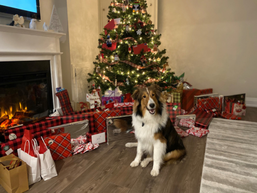 Finnegan can't wait for Santa.