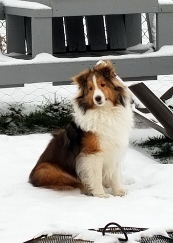 What a pretty boy Frankie